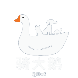 图标